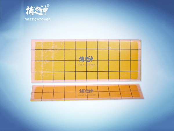 粘带粘虫纸